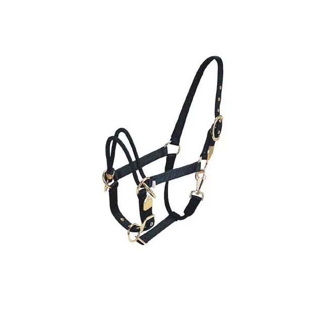 Hand Carved Leather Halter