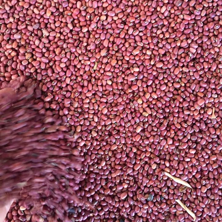 
Dried red bean and kidney bean 