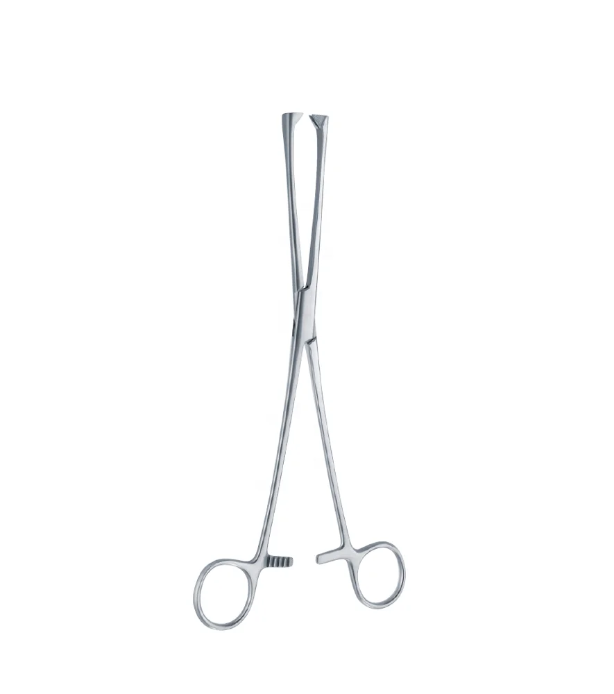 Tenaculum forceps Museux  240 mm, 6 mm Stainless steel high quality instrument surgical