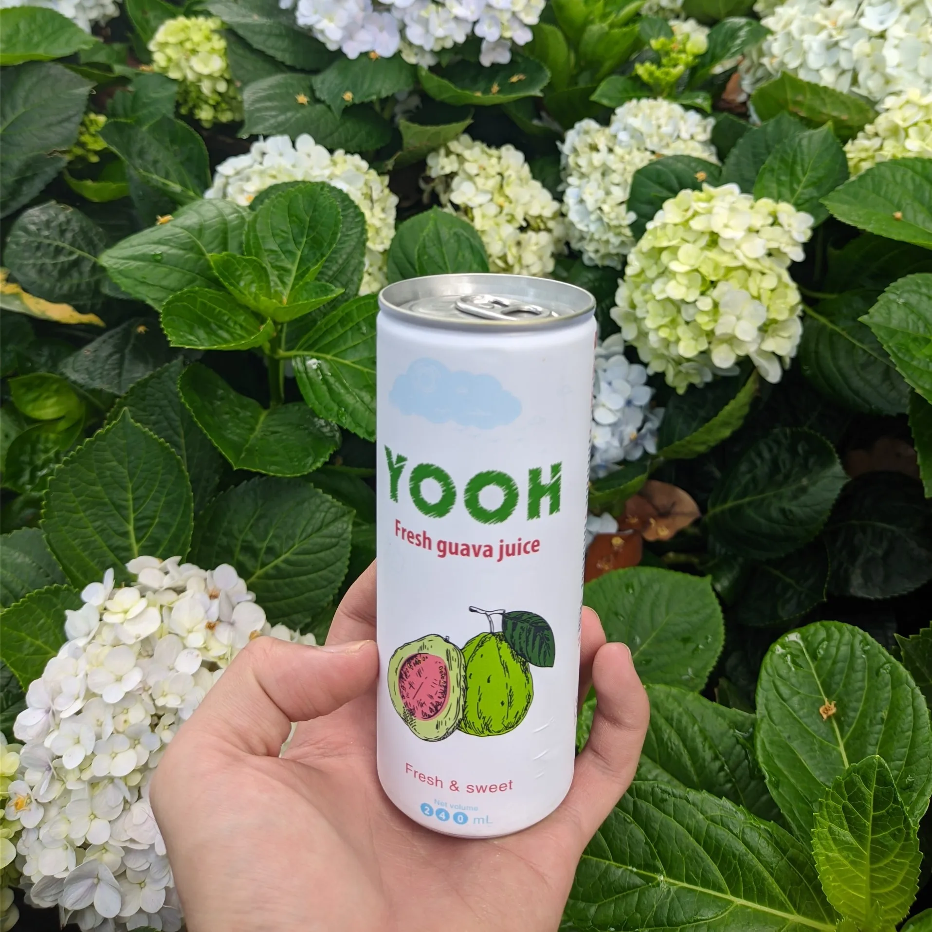 Fizzy drink pop drink healthy juice red guava juice drink for wholesale