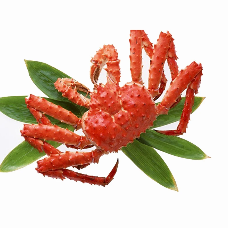 Русская красная король Краб/король Краб