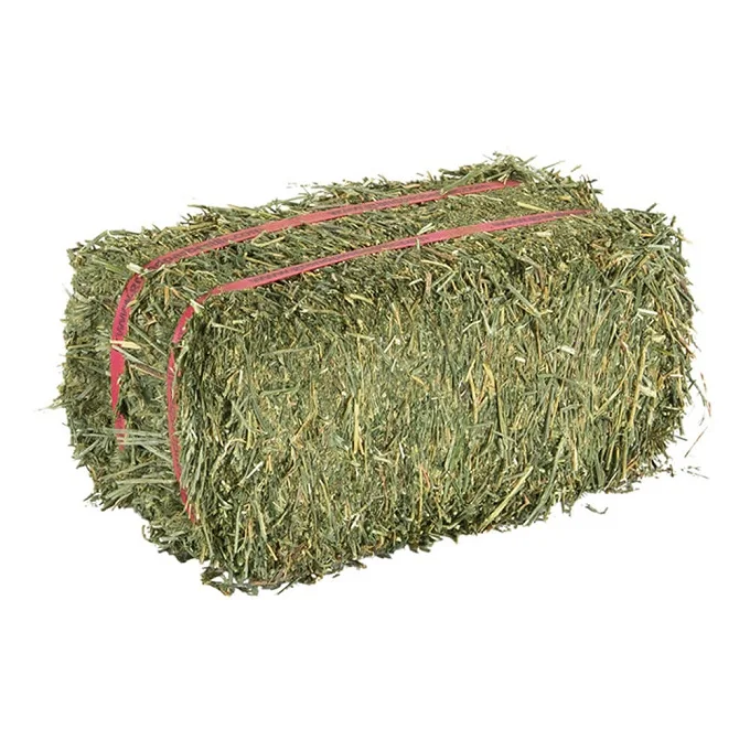 Animal Feeding Stuff Alfalfa, hay/alfalfa hay pellets Timothy Hay.