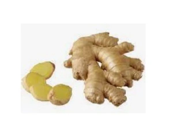 High Quality FRESH GINGER Ready to Ship