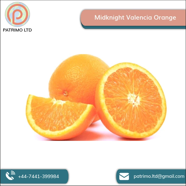 Высококачественный вкусный вкус Midknight Valencia Orange от оптового поставщика