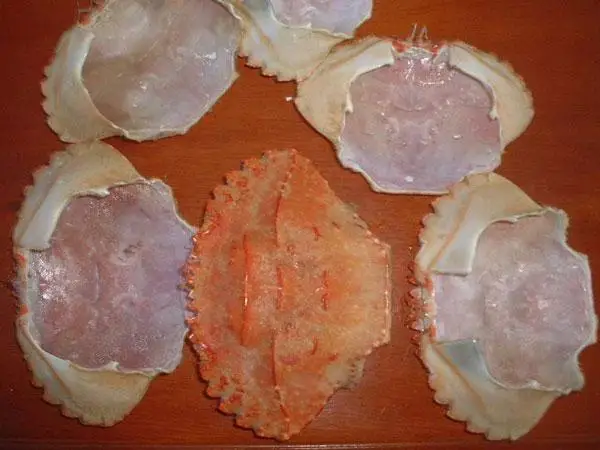 Dried Crab Shell from UK with Best Price