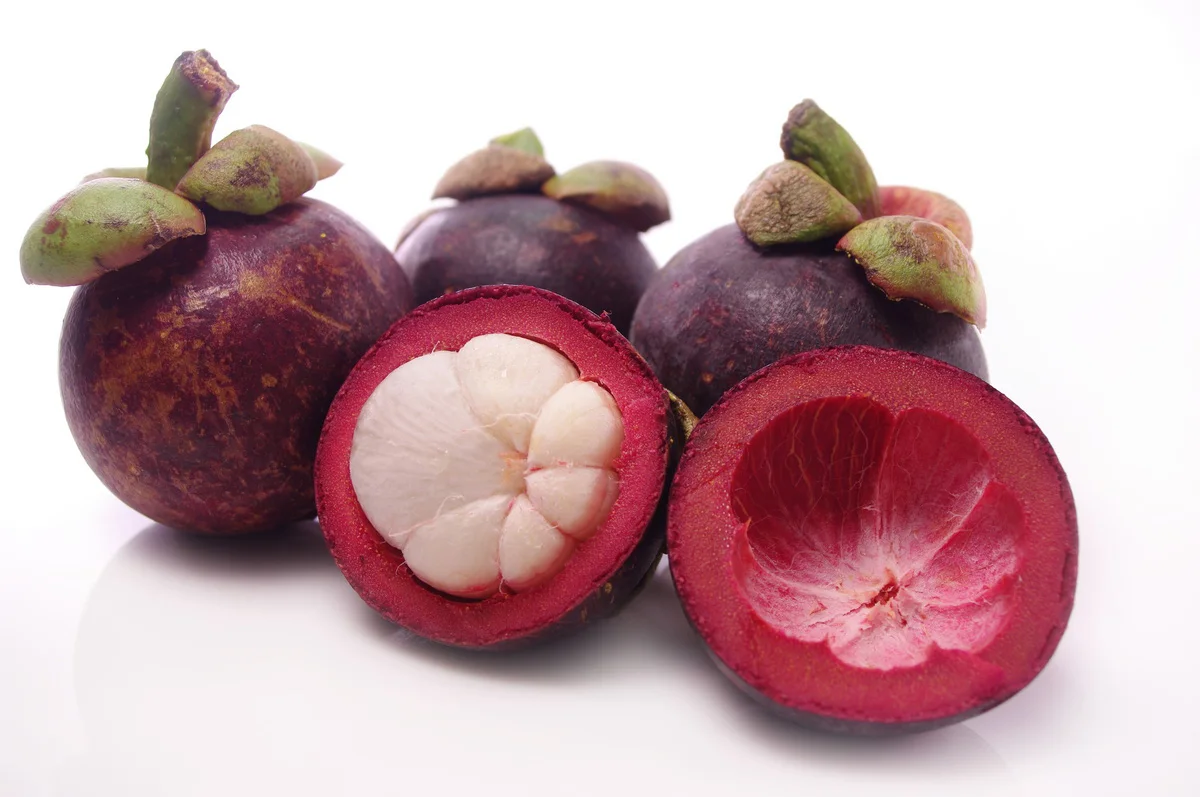 Mangosteen Fresh Fruit Best Seller From VIETNAM Mangosteen juice/ MS KATHY +84 896650714