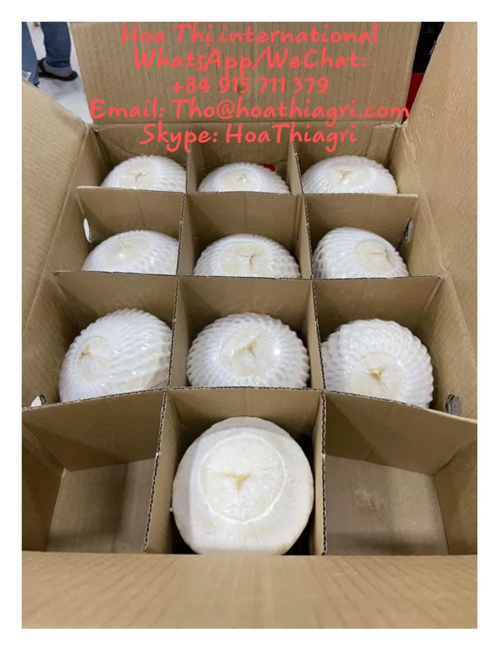 Свежий молодой кокос высокого качества по конкурентоспособной цене для экспорта, готов к отправке, Европейский азиатский рынок