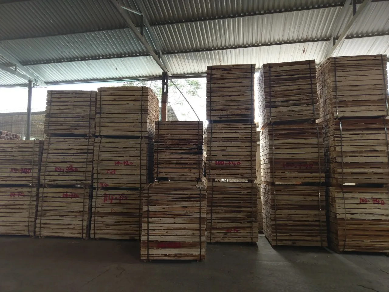 ACACIA SAWN TIMBER / ACACIA WOOD / LOW PRICE & HIGH QUALITY