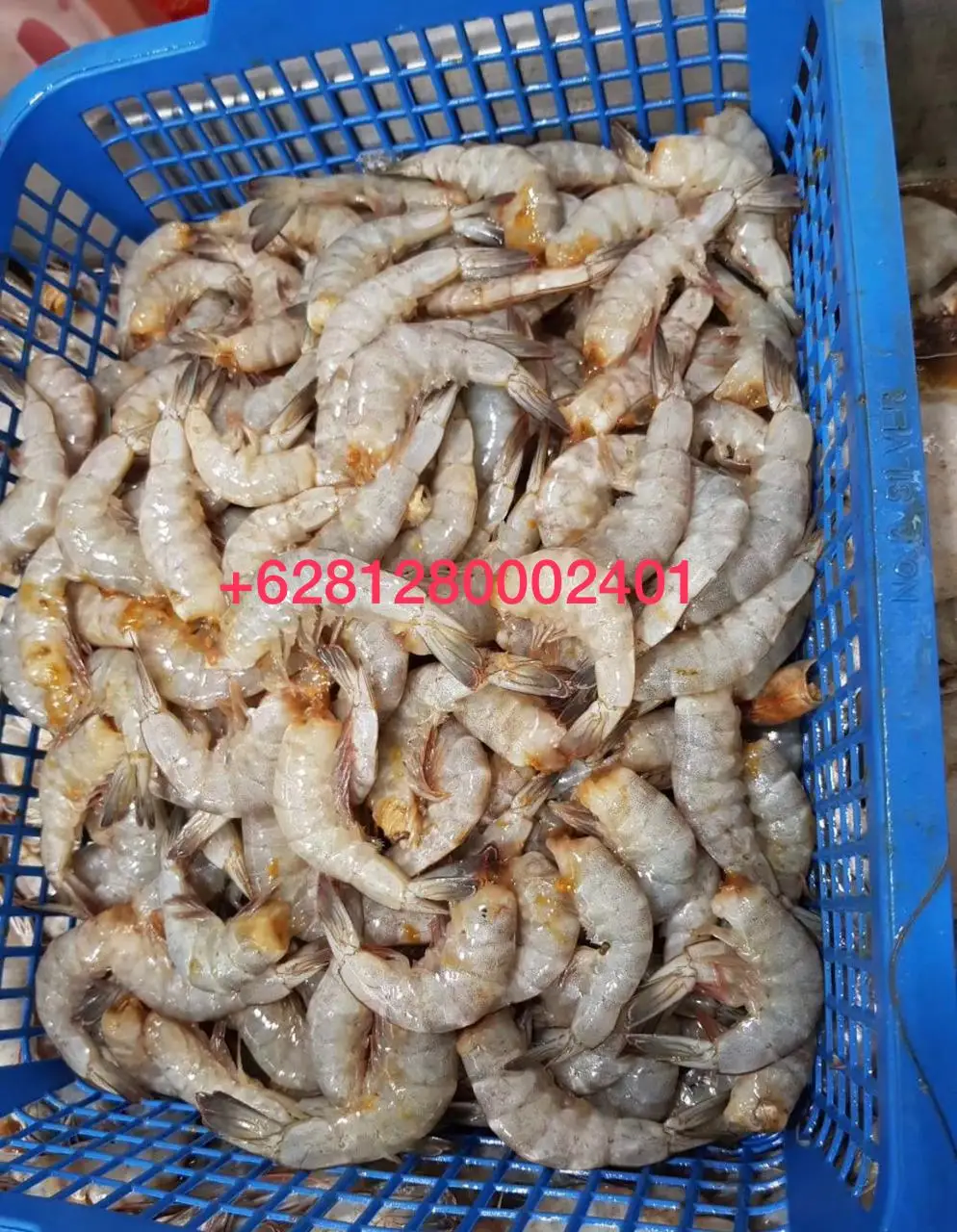 Замороженные белые креветки vannamei вкусные морепродукты замороженные