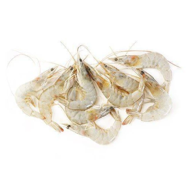 
Frozen Red Shrimp Headless White Pud Large Crystal Shrimp Vannamei Culture Per Piece Frozen Breaded Shrimp With White Crumb 