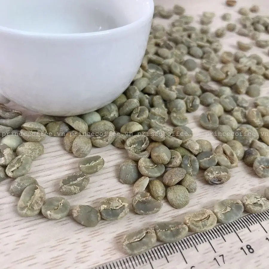  Vietnnam оптовая цена кофейные зерна Arabica высококачественные зеленые необработанные