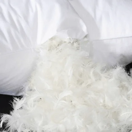 Гладкая белая утка перо для подушки Лучшая цена // Katty