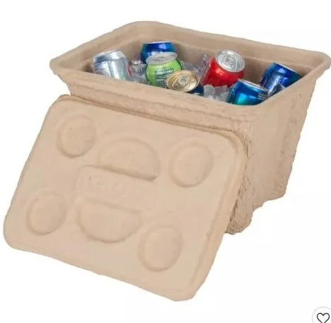 Pulp storage box paper tray biodegradable pulp  ice cooler/chest  box beer container