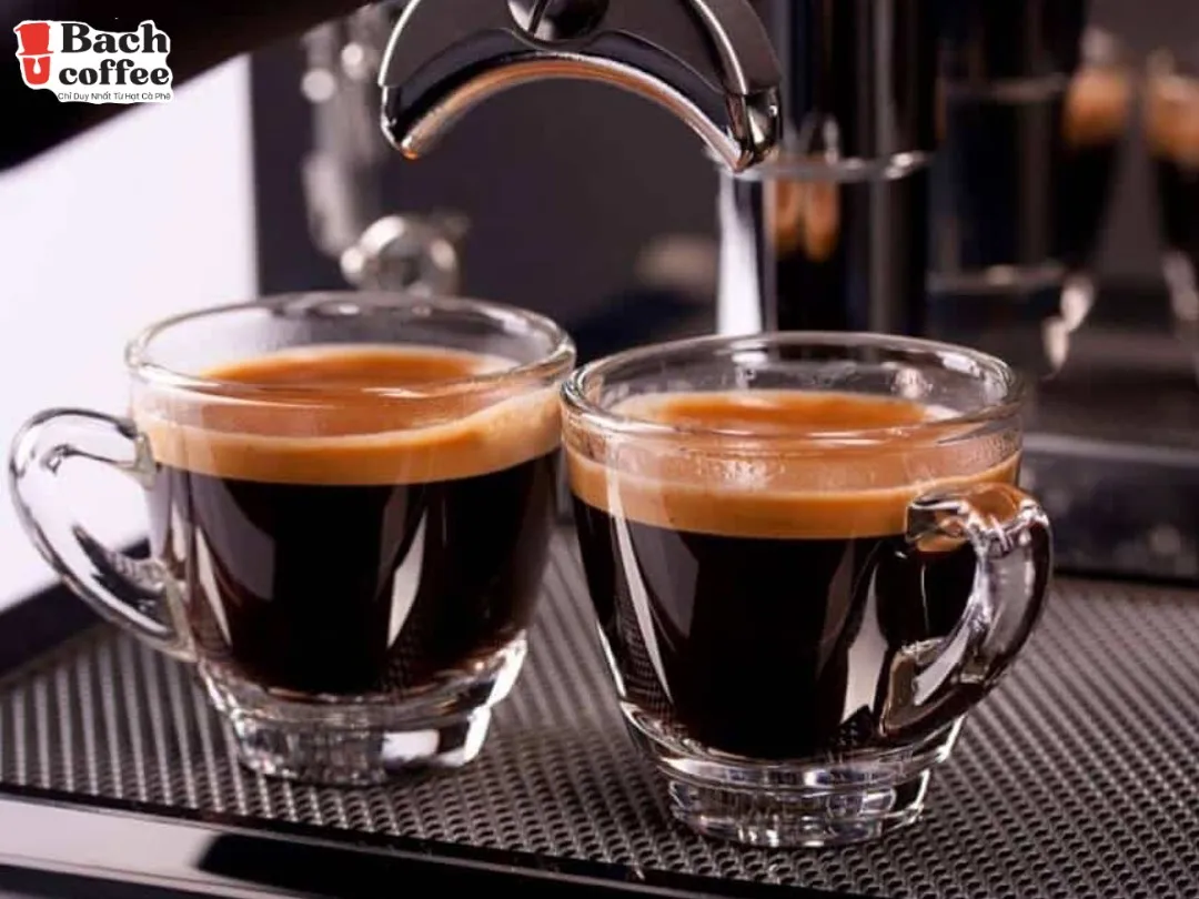 Свежий молотый кофе Cafe Arabica Beans грязевая лампа с кардамовым робуста-небольшая партия и дизайн OEM.