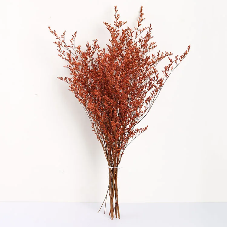 Ins style Limonium latifolium preserved  valentines grass for home and Decoration
