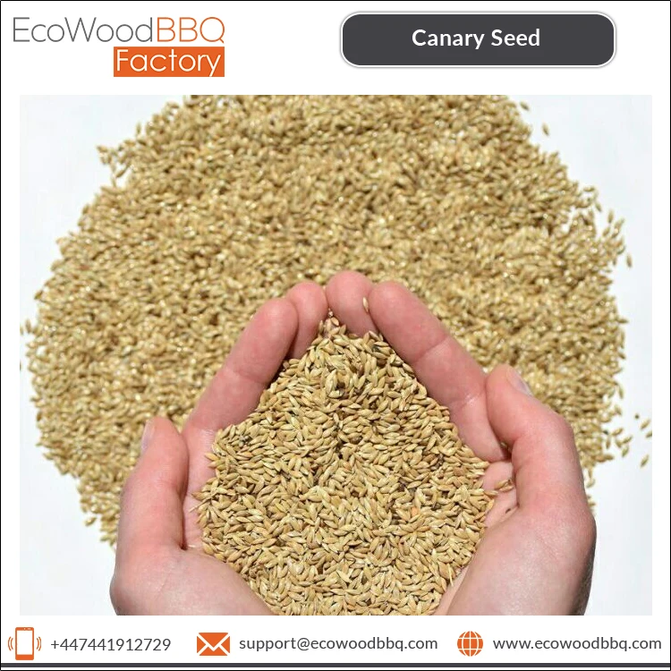 Wholesale Price of Healthy Food Natural Organic Bird Feed Canary Kernel Seeds