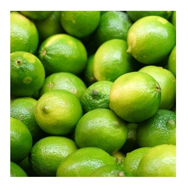 Fresh Seedless Lime from Vietnam Cheap Price FRESH SEEDLESS Wholesale GREEN LEMON Raw Origin for SALE