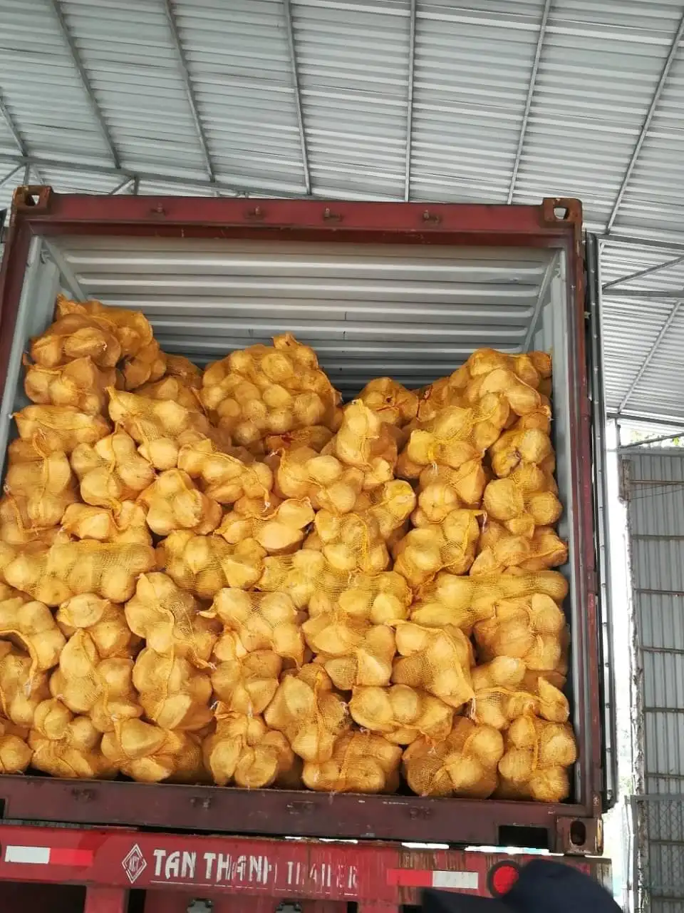 Полуочищенный кокос сделано во Вьетнаме