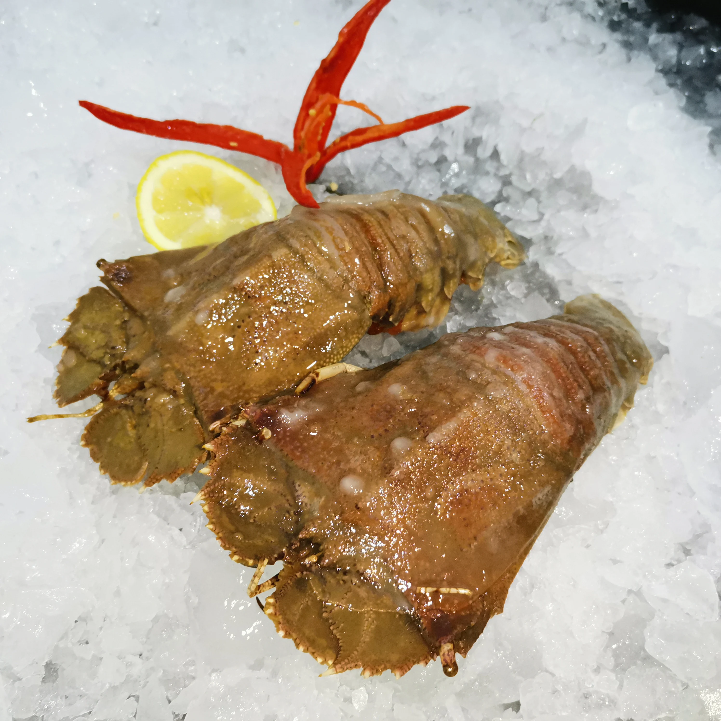  Лучший заводской Рынок морепродуктов Mican Замороженные Свежие тапочки из