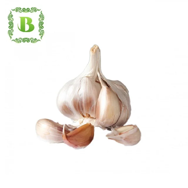 Organic garlic powder/dried garlic powder