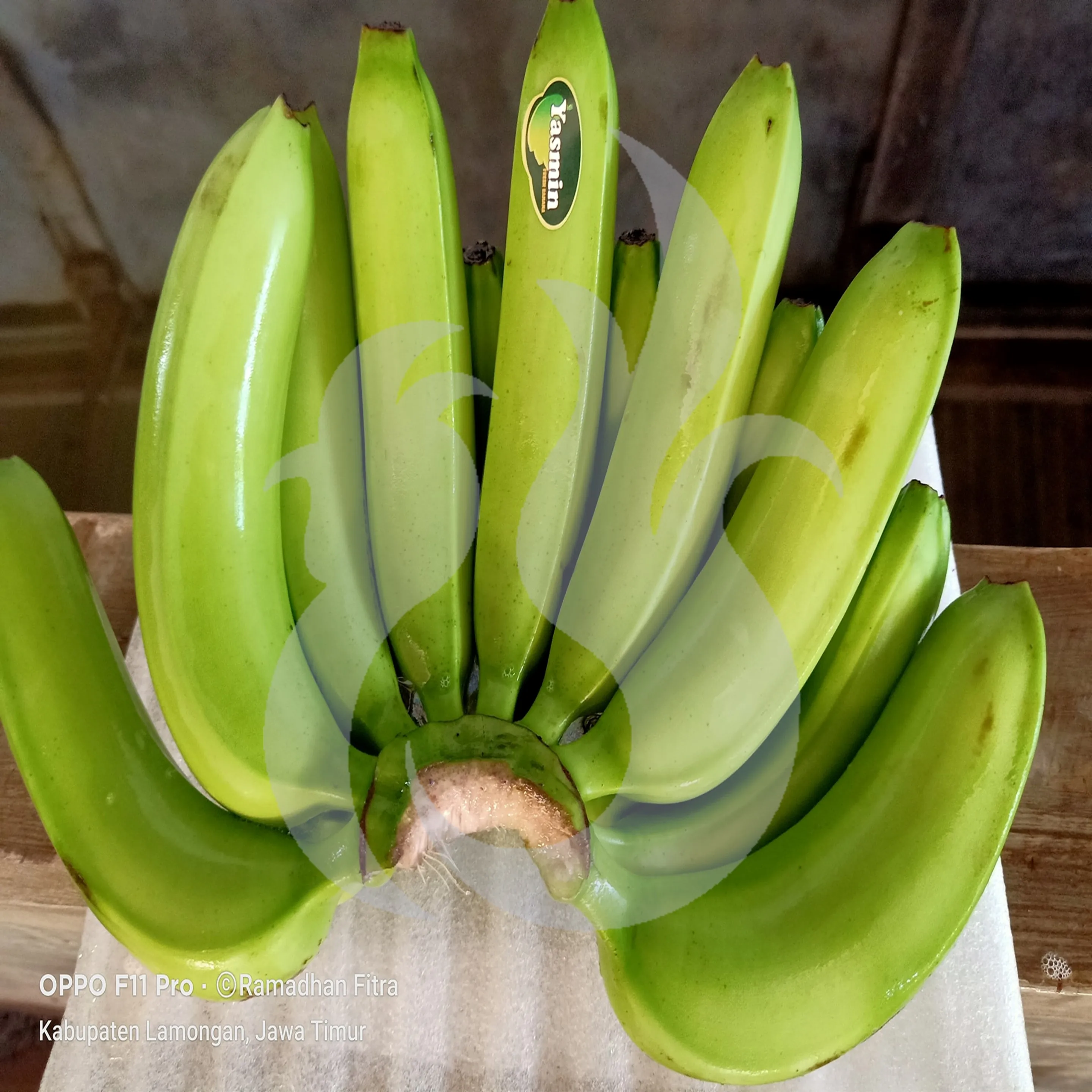 
Fresh Cavendish Banana Fruits Full Nutrition Long Yellow 