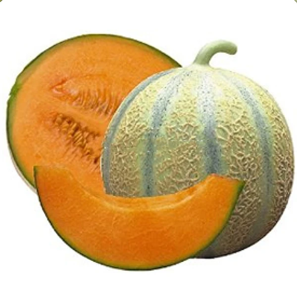 Fresh Melons For Sale / Hybrid F1 Musk Melon Seed / FRESH ROCK MELON WITH GOOD PRICE