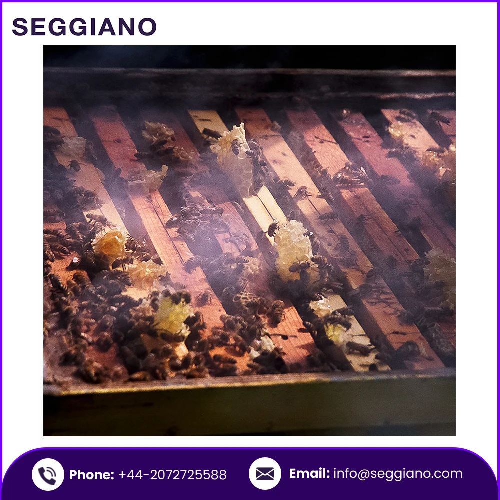 Premium Quality 100% Pure Organic Natural Seggiano Sicilian Thistle Raw Honey 500g