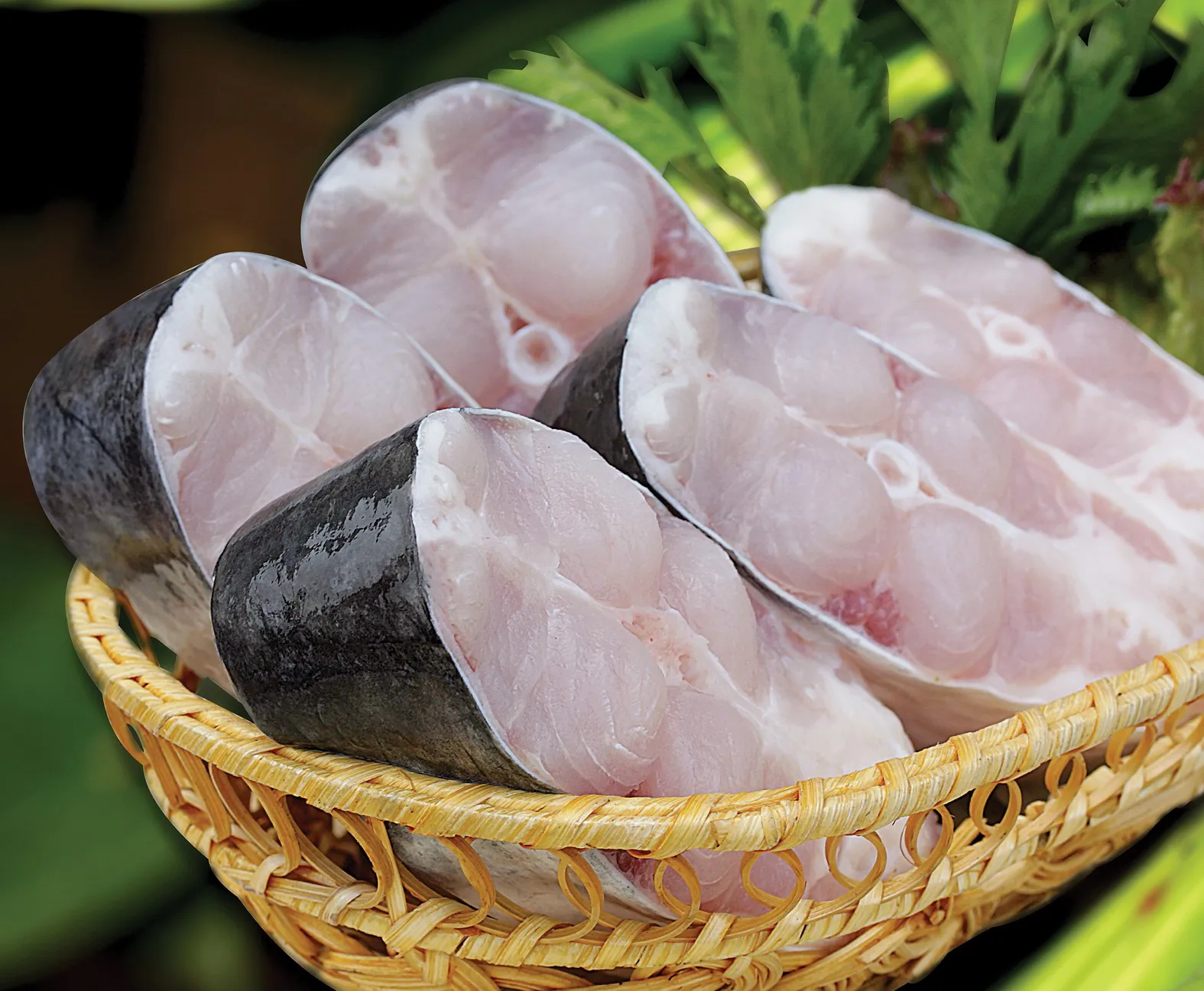 Вьетнамская Высококачественная замороженная рыба Баса (PANGASIUS) Замороженная филе