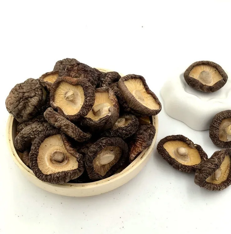
Natural magic mushrooms dried with good quality 