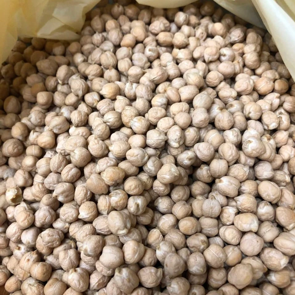 
Ukrainian chickpeas for export 
