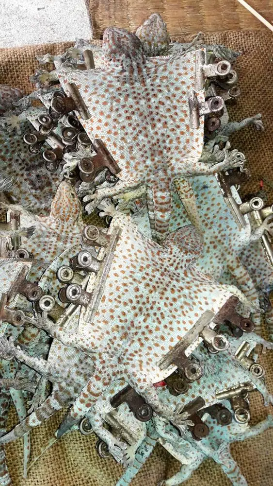 Сушеный ГАК AYAME из Таиланда