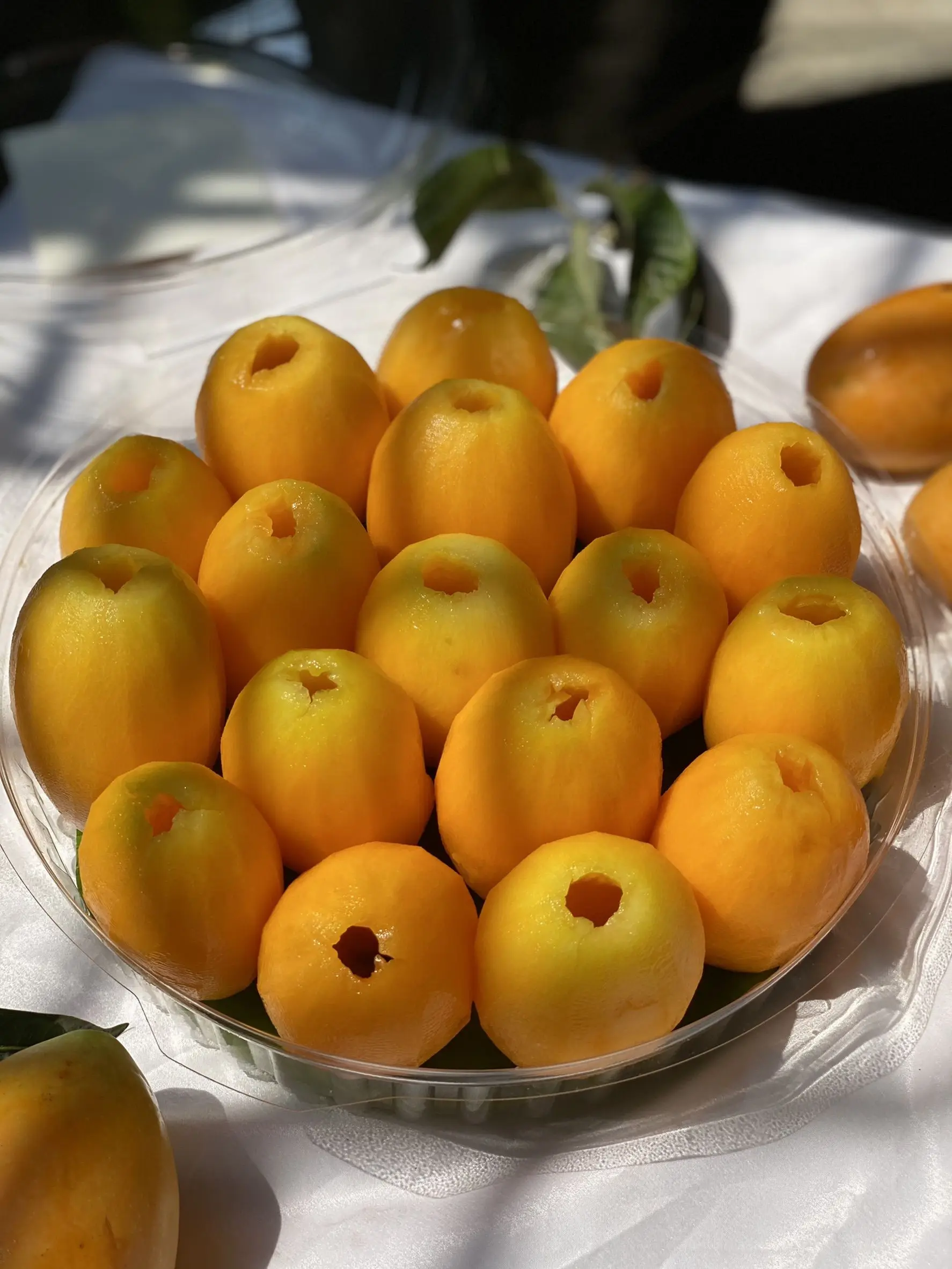 Thailand Premium Fresh Marian Plum (mayongchid)