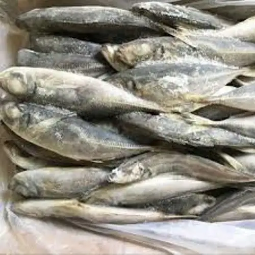 Замороженная скумбрия Huiyang, еда и напитки, приготовление и употребление лапши или риса
