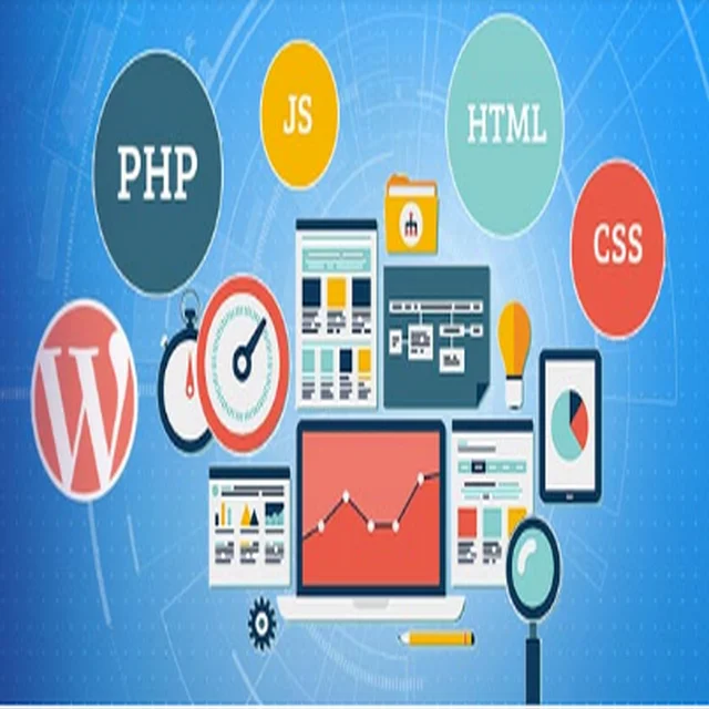 
website development / website / website business 