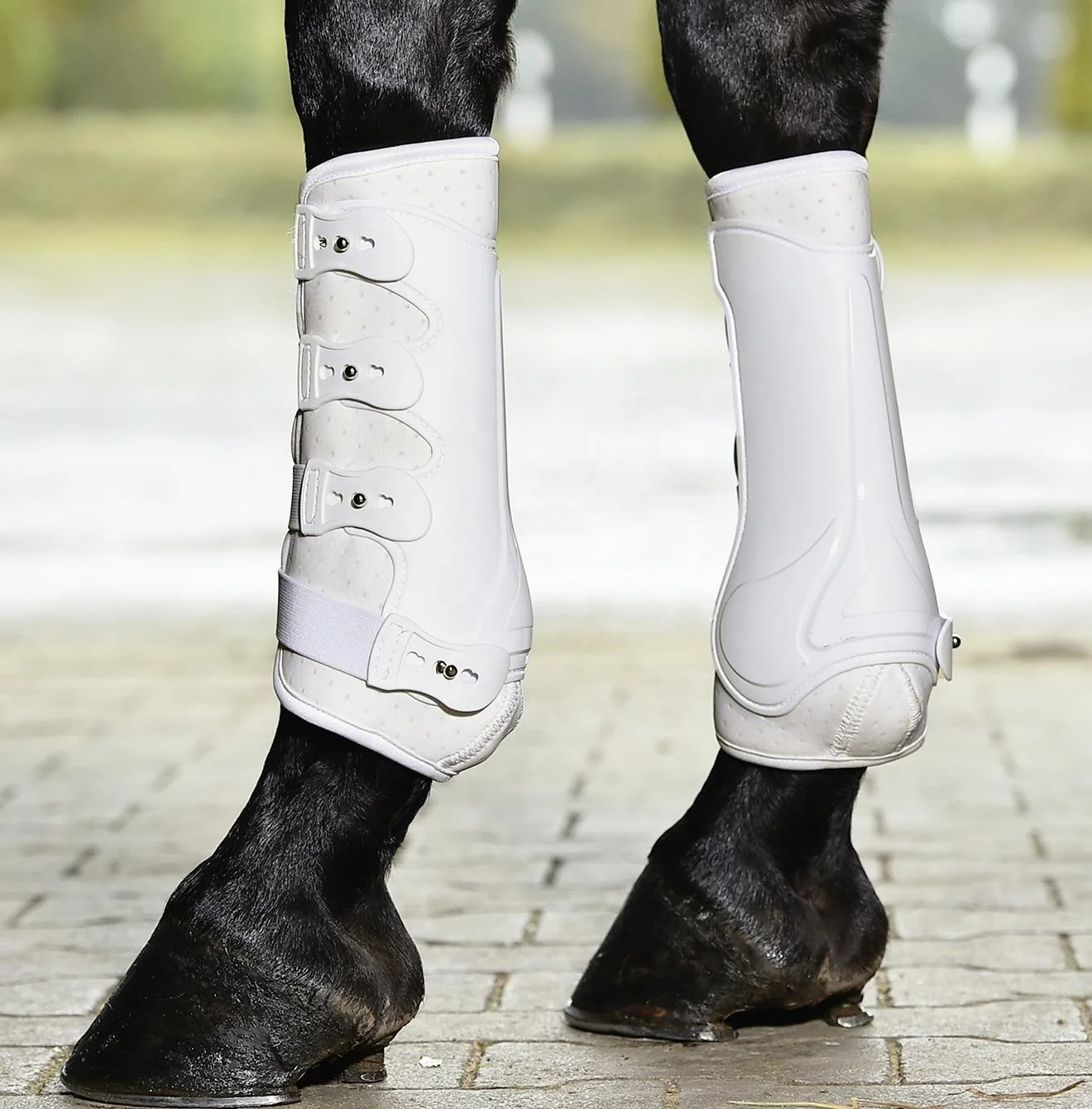 Horse Dressage Leather Horse Tendon Boots