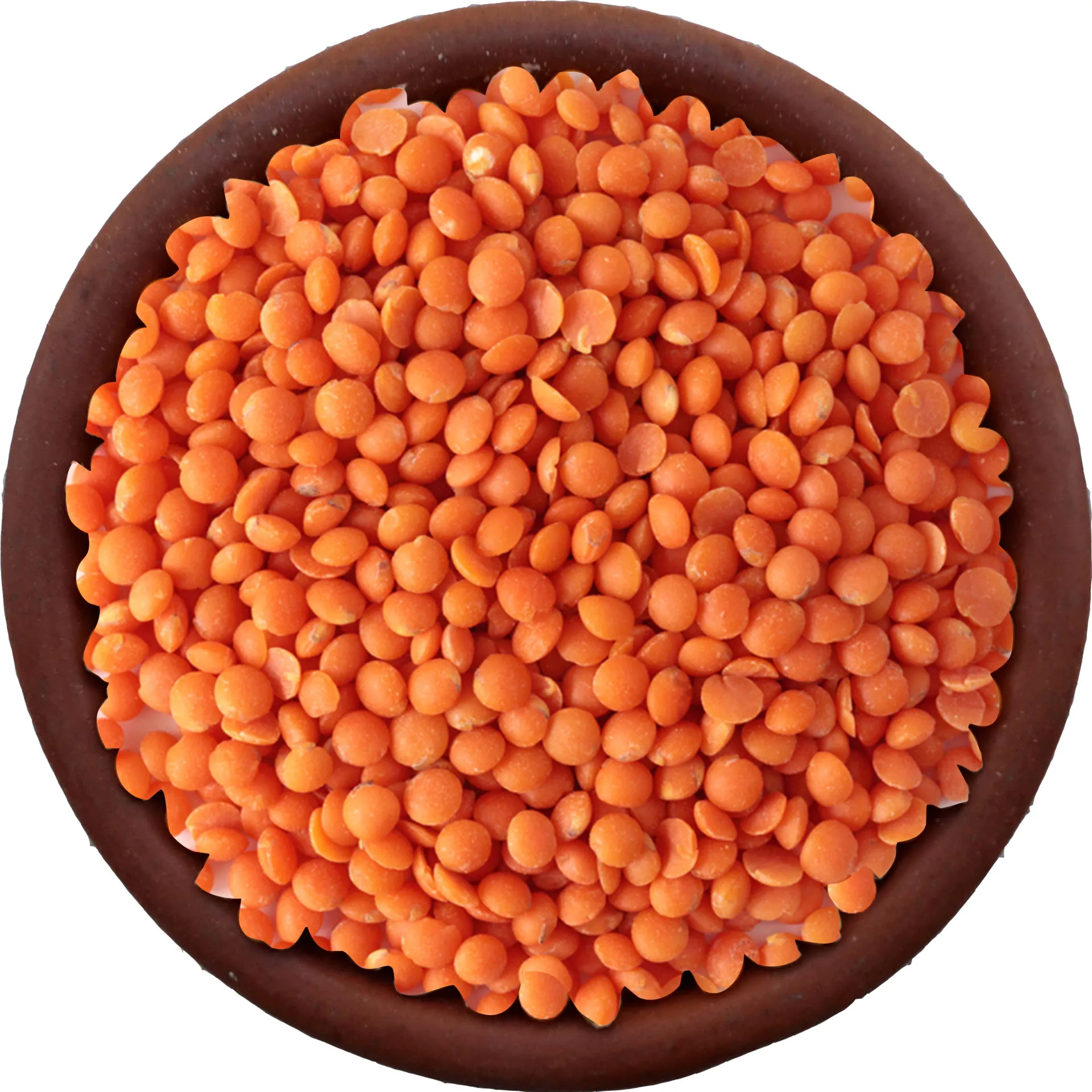 Quality certified red and green lentils for sale worldwide
