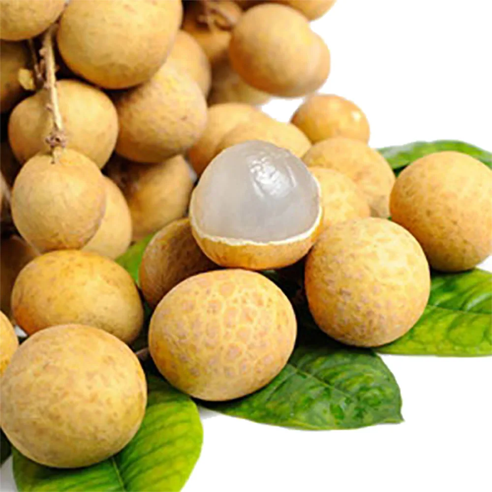 BEST SELLING PRODUCT - FROZEN LONGAN WHOLE FROM AN VAN THINH FOOD COMPANY IN VIETNAM