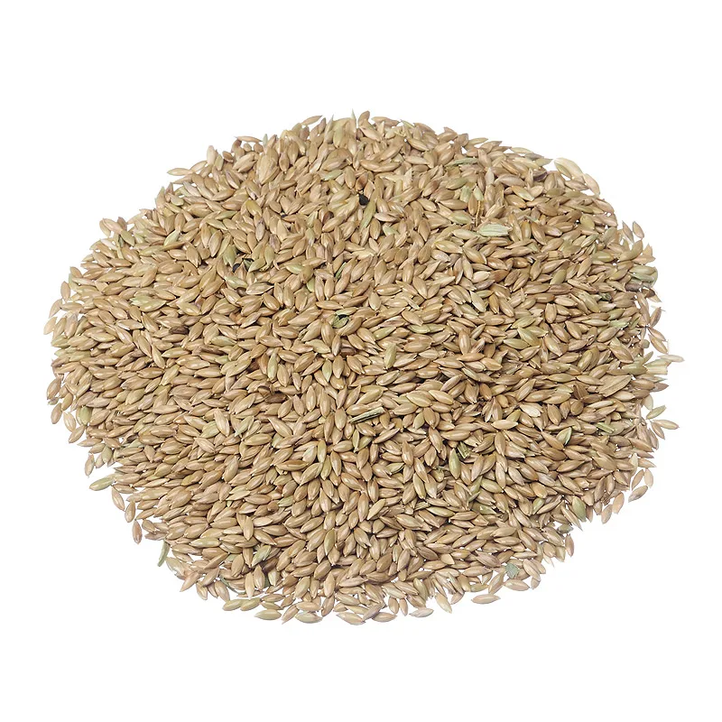 canary-seed.jpg