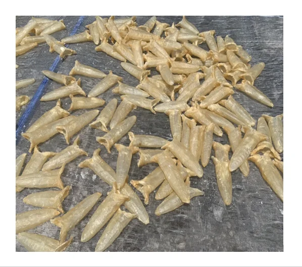  Сушеные морепродукты богатые здоровые рыбы MAW/рыбный пузырь-вьетнамские сушеные морские окунь MAW 99 золотые данные