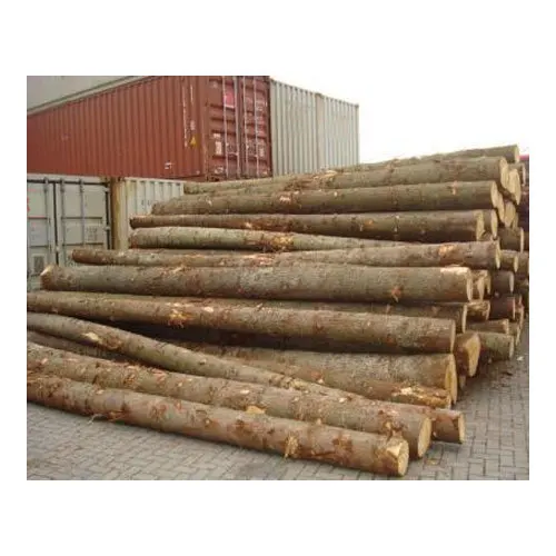 
Birch / Black Walnut / Red Oak Logs 30+ cm 