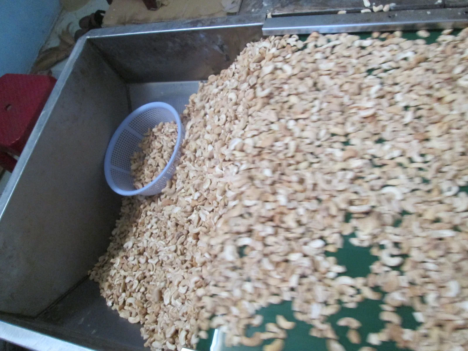 Best choice LP CASHEW NUT GOOD PRICE Visimex good price