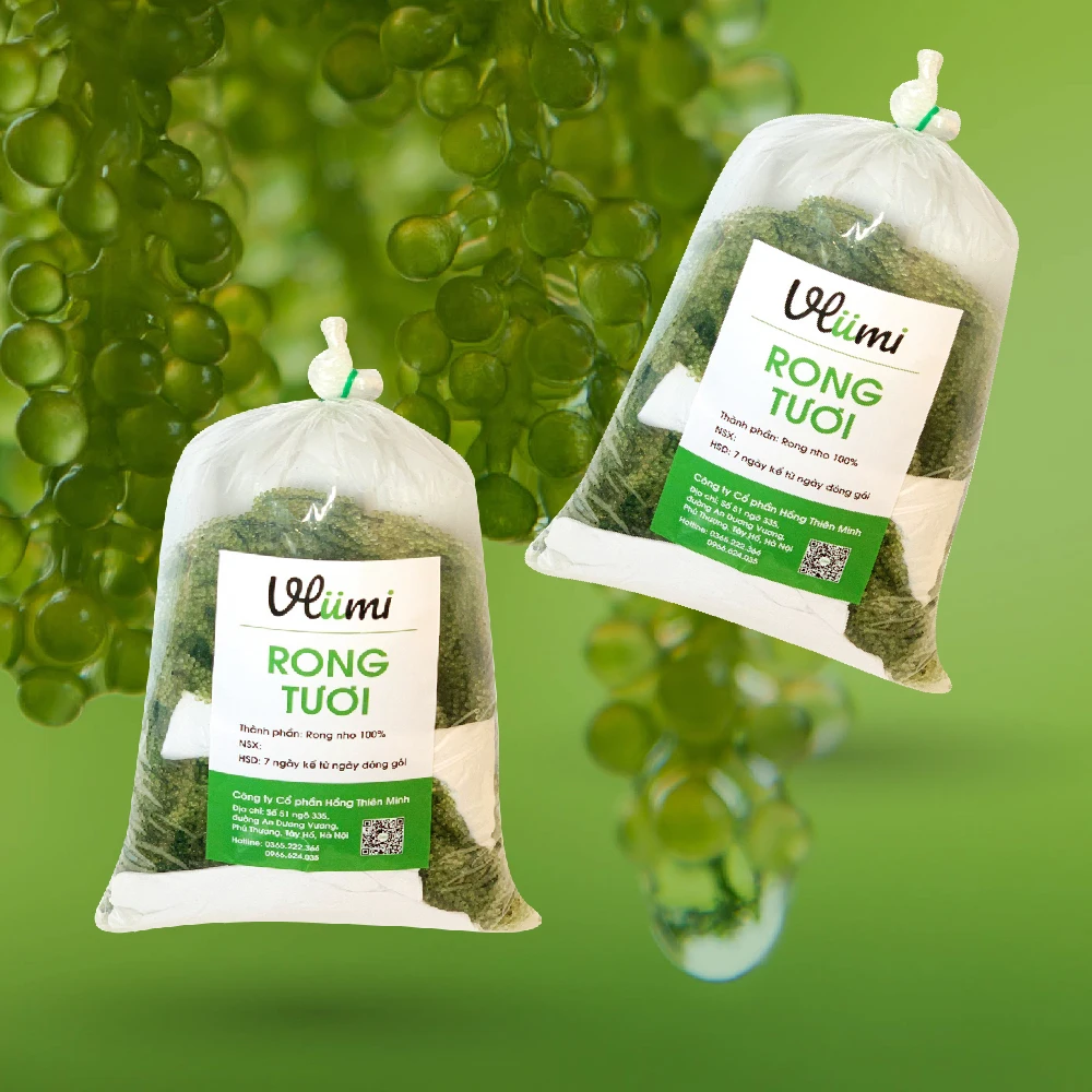 
Vegan Green Carvier VLUMI Seaweed Fresh Sea Grapes - Umibudo for Sashimi 