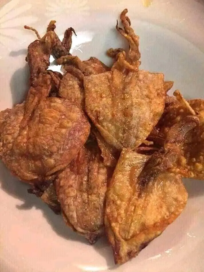 Dried seafood large-sized squid 1700 gram from VIET NAM - octopus 2 Pound (908 grams)