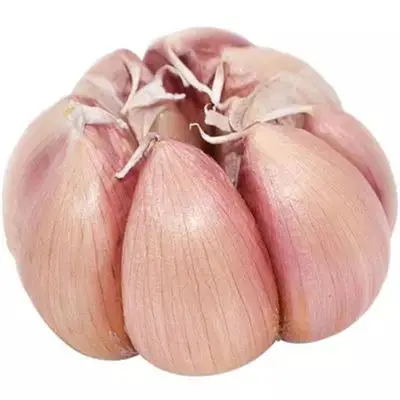 2023 Can be exported from China with HACCP certification red peel fresh garlic