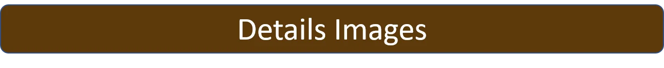 Details Images.png