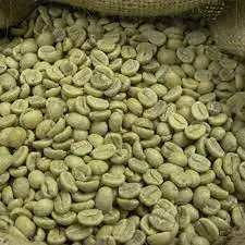 Good price arabica green coffee beans High Quality  Coffee By Vietnam Agri brand