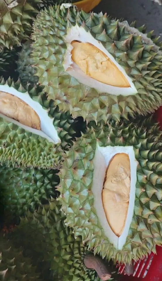 Вьетнамские свежие фрукты Ri6/ Monthong Durians Премиум-качества из Вьетнама-WHATSAP 0084 989 322