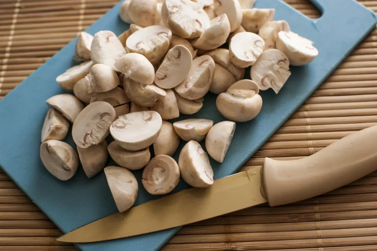 Top Grade Wholesale Fresh And White Frozen Mushroom For Sale In Cheap Price