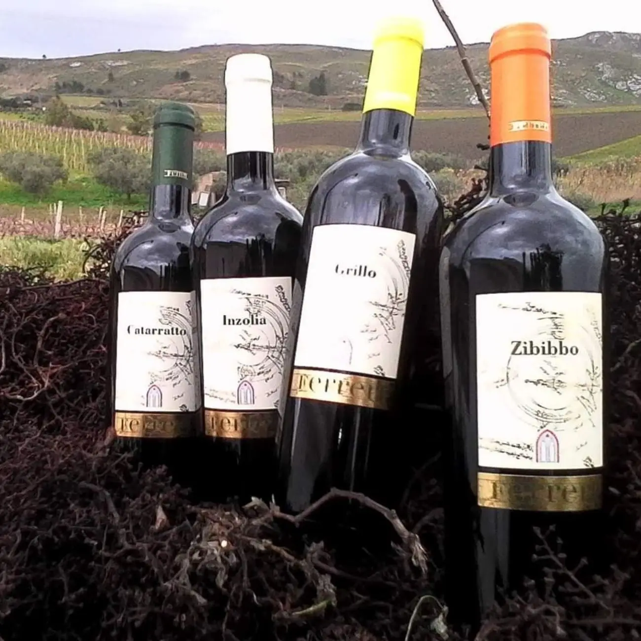 FERRERI Historical Grapes Catarratto Inzolia IGP Terre Siciliane High quality wine 750 ml Packaging Alcohol Grade Weight