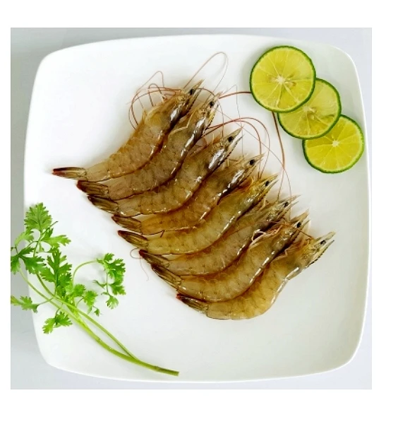 Good Price Vietnam Supplier FrozenVannamei Shrimp HOSO  for Wholesale